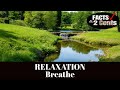 RELAXATION - Breathe