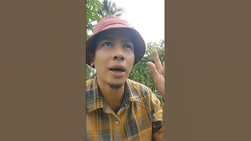 Perhatikan hal ini di musim hujan #shorts #arispipit #tanamancabe