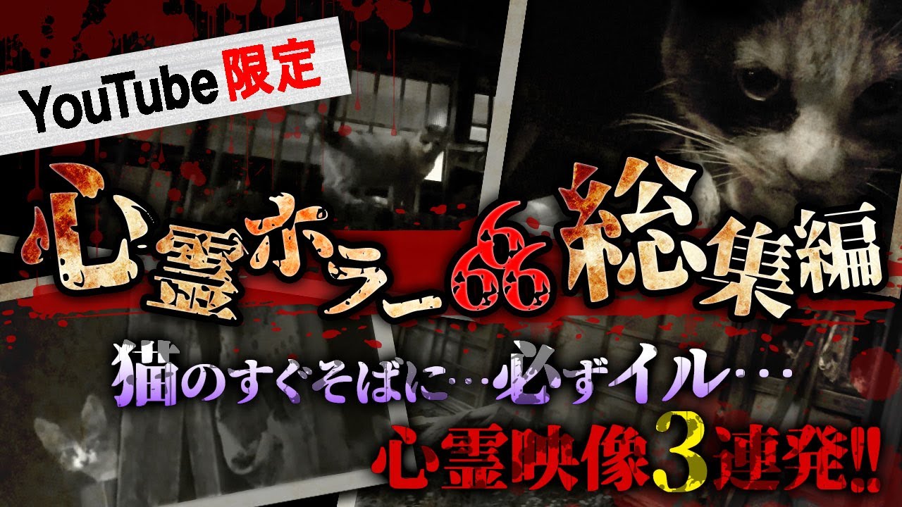 Youtube限定総集編 猫のすぐそばに 必ずイル 心霊映像3連発 Youtube