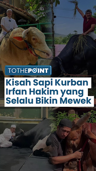 Selalu Buat Nangis, Ini 4 Kisah Sapi Kurban Irfan Hakim yang Viral, mulai Grandong hingga Condrosimo