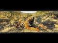 Cryengine 5.6 Tiger