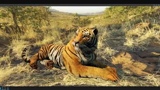 Cryengine 5.6 Tiger