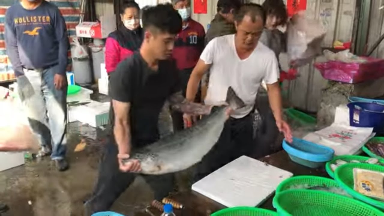 Taiwan Seafood Auction Amazing Fish Cutting, Salmon, Grouper ! YouTube
