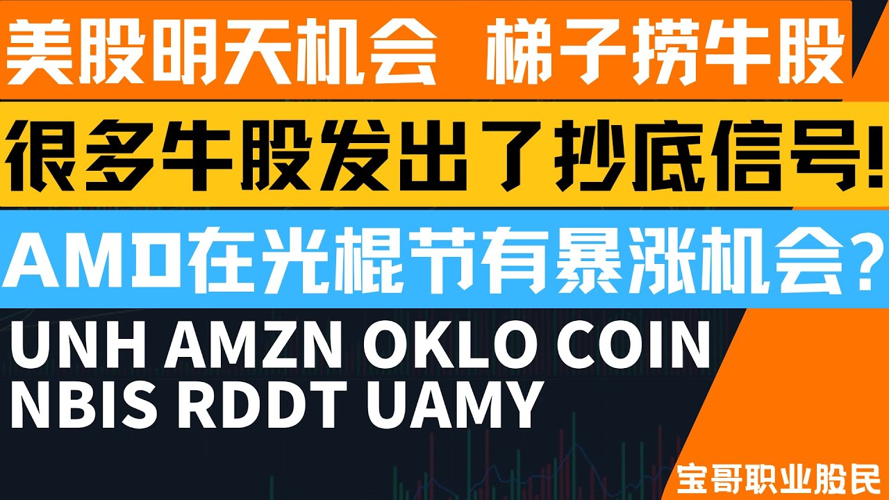 很多牛股发出了抄底信号! AMD在光棍节有暴涨机会? UNH AMZN OKLO COIN NBIS RDDT UAMY! 11092025 #美股  #股票 #美股分析 #投資