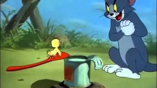 Download Tomy And Jerry 2016- Episode 3 Video MP3 Tomy And Jerry 2016- Episode 3