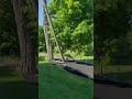Cleanup at a beautiful property! #landscape #landscaping #barnhouse #landscapedesign #nature #fyp