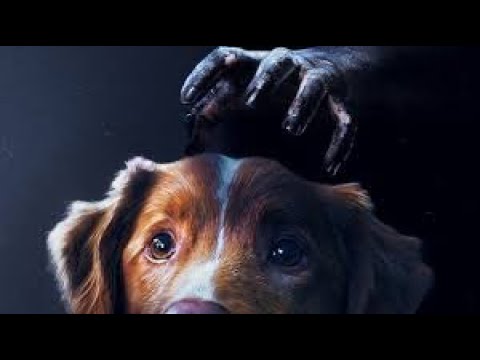 GOOD BOY - 26 Aralık'ta Sinemalarda!