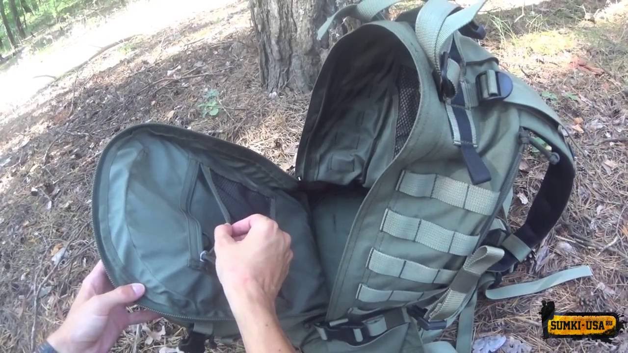 Kiwidition Ekara (00303)