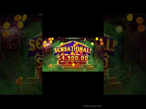 Magius Casino: Het Beste Online Casino Spelen in het Nederlands