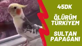 Sultan Papağanı Ölürüm Türkiyem 45 Dk (Reklamsız)  uzunluğunda