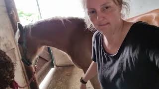 Famous module 4 case study - horse B shoulder Net Worth