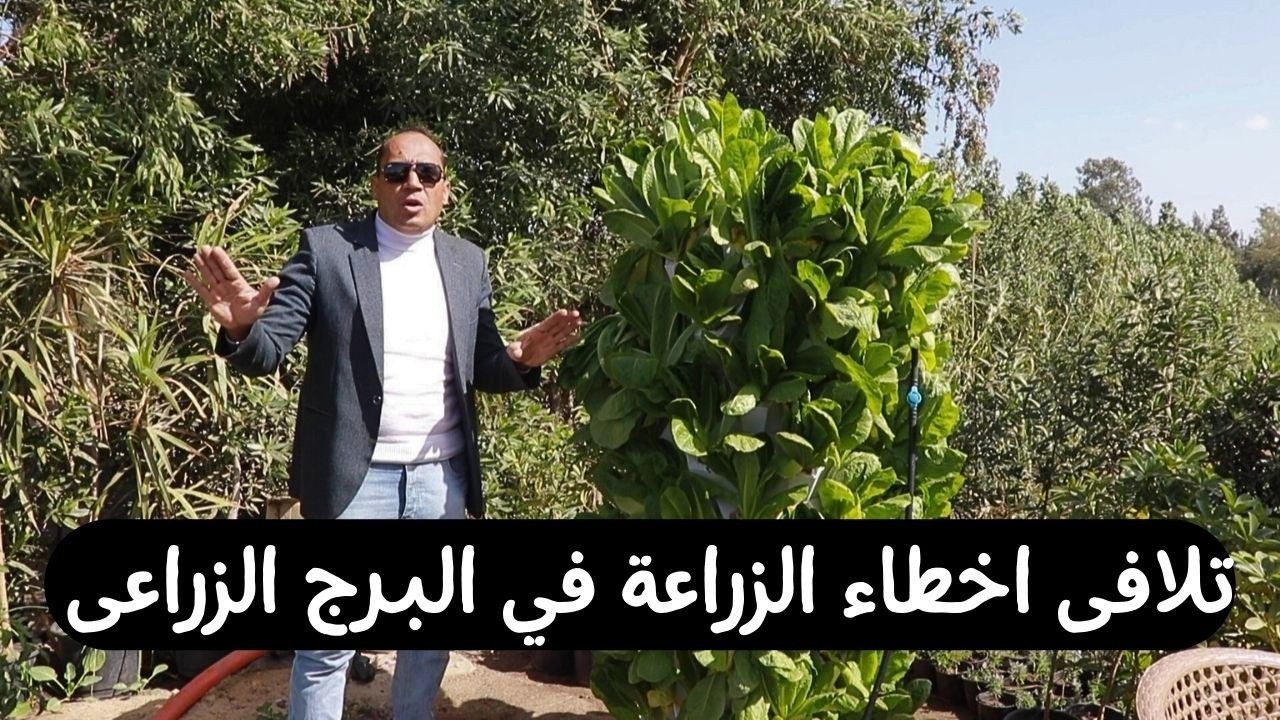 أسرار التحديات الخفية للبرج الزراعي… ومن يملك مفتاح الإنقاذ؟ 🌿🏙️