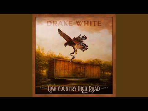 Drake White - This Hat