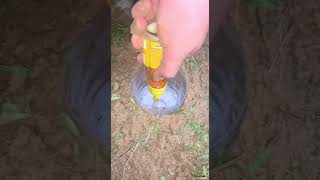 PLP3106 1 INSECTS PITFALL TRAP