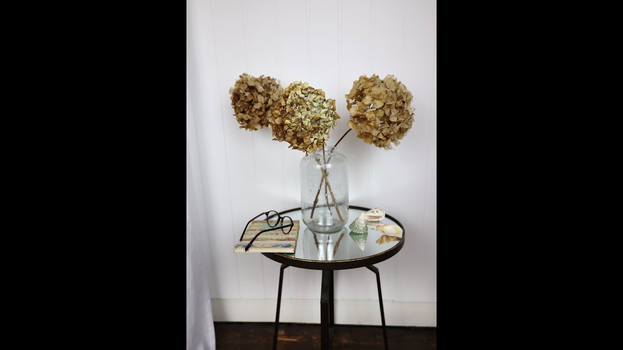How to Dry Hydrangeas For Autumn