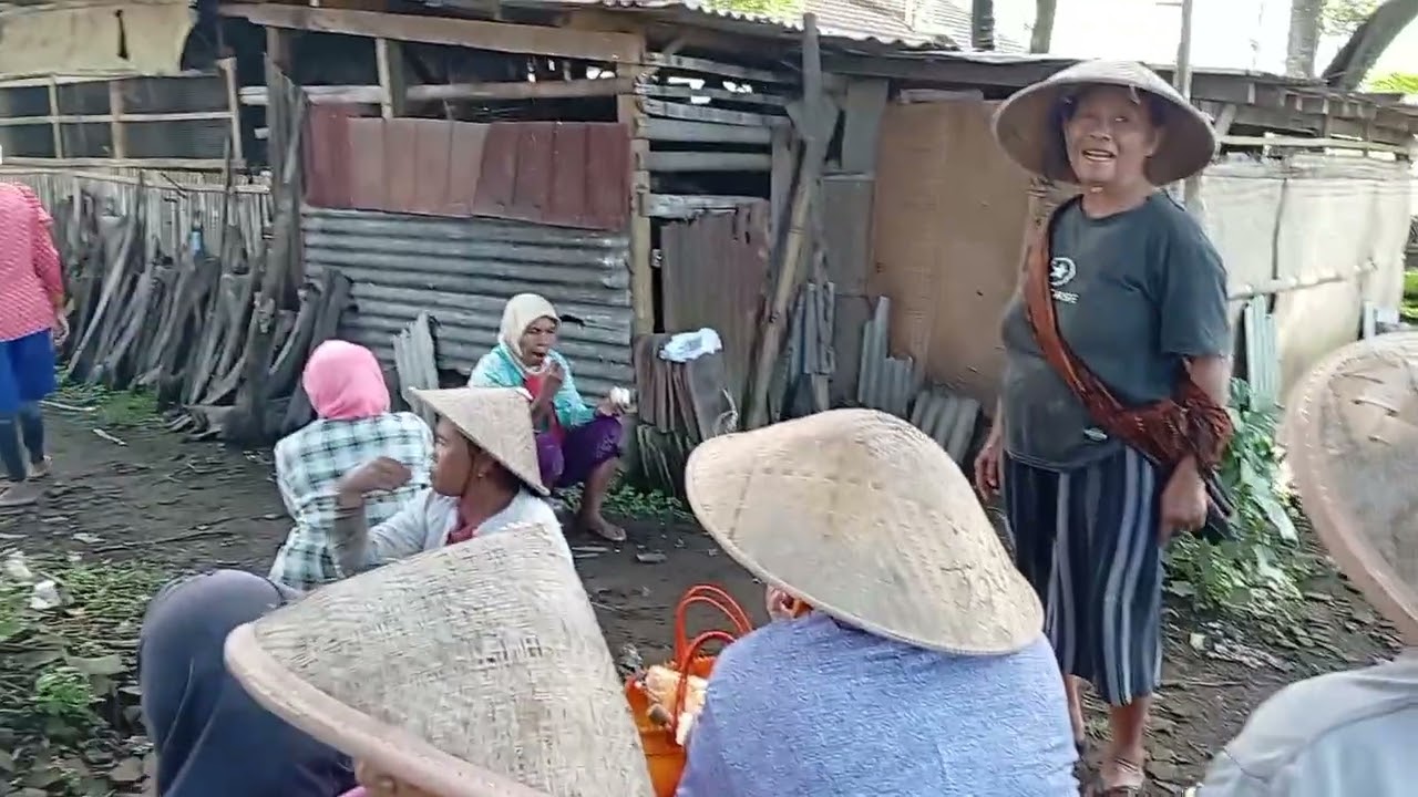 Kegiatan wong ndeso tandur pari dan makan bareng di sawah