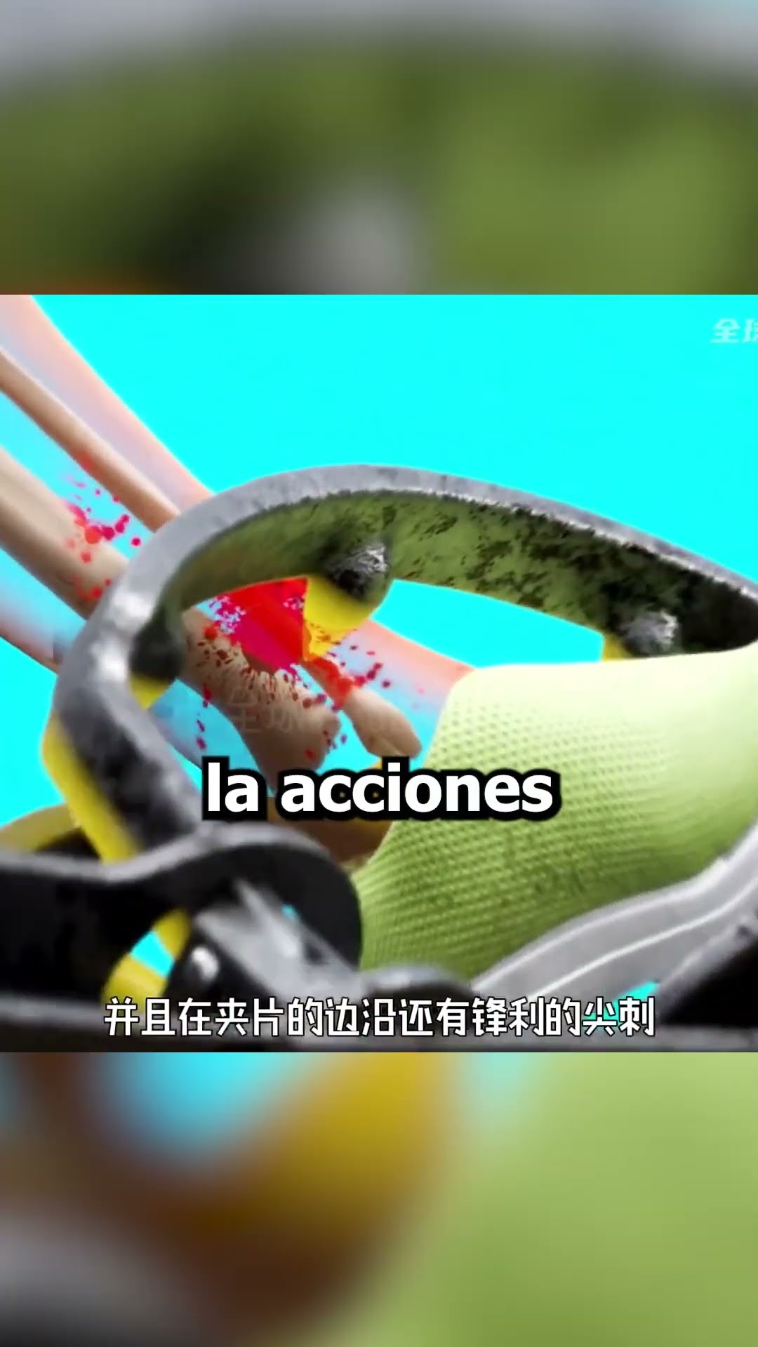 SOBREVIVIR a una TRAMPA para OSOS?