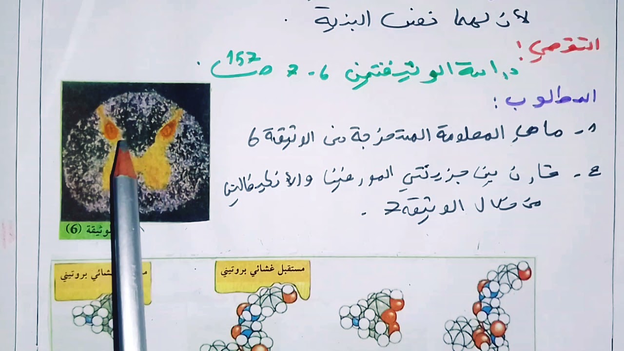 الاتصال العصبي_ تأثير المخدرات 3_ باك 2021 _شعبة علوم تجريبية