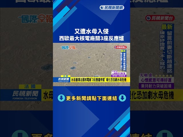 又遭水母入侵　西歐最大核電廠關3座反應爐－民視新聞