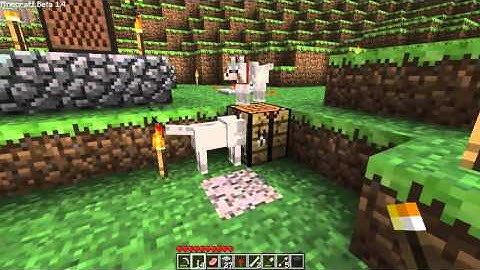 Minecraft Beta 1.4 - Wolves