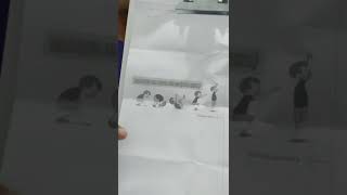 Elementos Da Ginástica Rolamento Para Frente Agrupado E Roda.