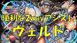 【パズドラ】アシストで2way付与！ヴェルドと相性がいいのは・・・？