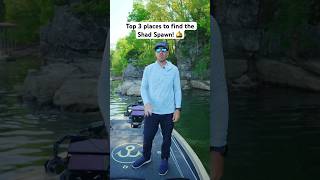 Jacob Wheeler Shad Spawn Fishing 101! ✅