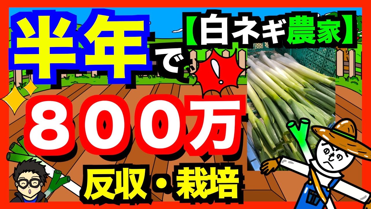 【ネギ農家】年商８００万円ネギ農家に聞く！ネギが儲ける３つの理由がある！【アニメでわかる家庭菜園解説】