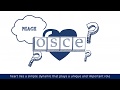 OSCE 101 What is the OSCE?