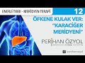 Enerji tbb  meridyen terapi 12 fkene kulak ver  karacier meridyeni