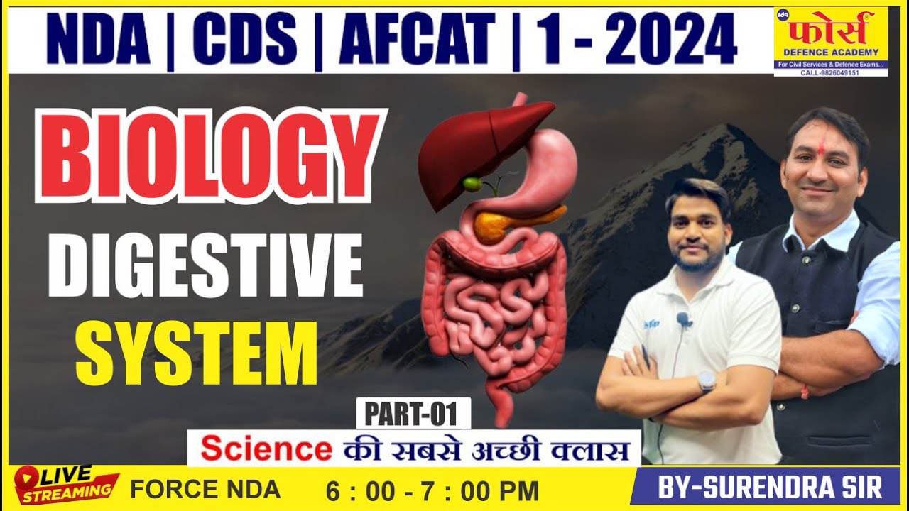 Пищеварительная система | Биология для NDA | Полная пищеварительная система (от базового до продв...