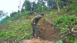 Expand the farm, Grow a lot of cassava to raise pigs and chickens, build a dirt road
