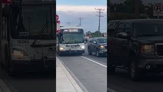MDOT MTA 2016 XD40 #16085 CityLink Orange W Baltimore marc