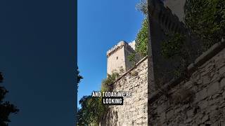 Tour de Phillip le Belle, Avingon France #shorts #history #medievalhistory #medieval #castle