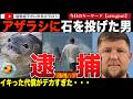 【続報】ラニの安否は?罰金1000万円の可能性も!ハワイのアザラシに岩を投げつけた男が逮捕!実名までしっかり公開されてしまう。マウイ復興の象徴として愛されるアザラシへの暴挙があまりにも大きな代償へ