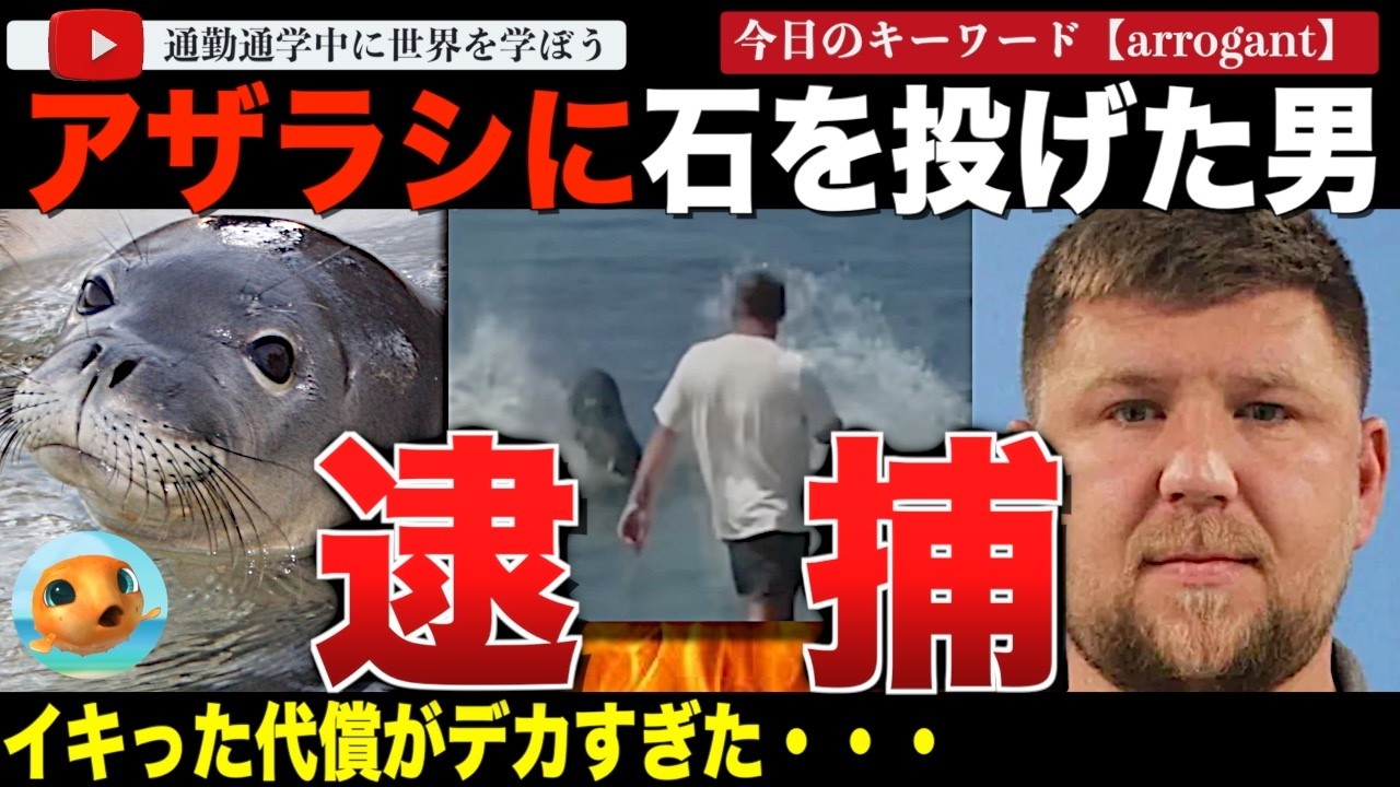 【続報】ラニの安否は?罰金1000万円の可能性も!ハワイのアザラシに岩を投げつけた男が逮捕!実名までしっかり公開されてしまう。マウイ復興の象徴として愛されるアザラシへの暴挙があまりにも大きな代償へ