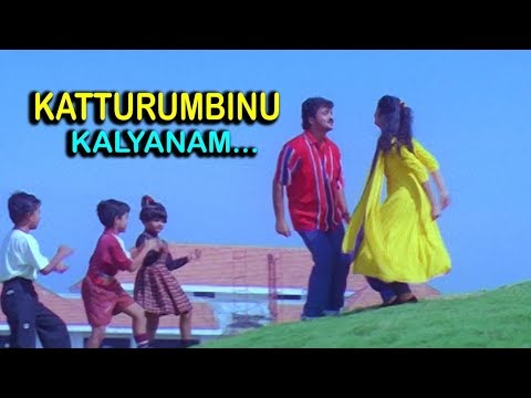 Katturumbinu Kalyanam   Priyam Malayalam Movie Song  Kunjako Boban  Deepa Nair  Jagathy Sreekumar