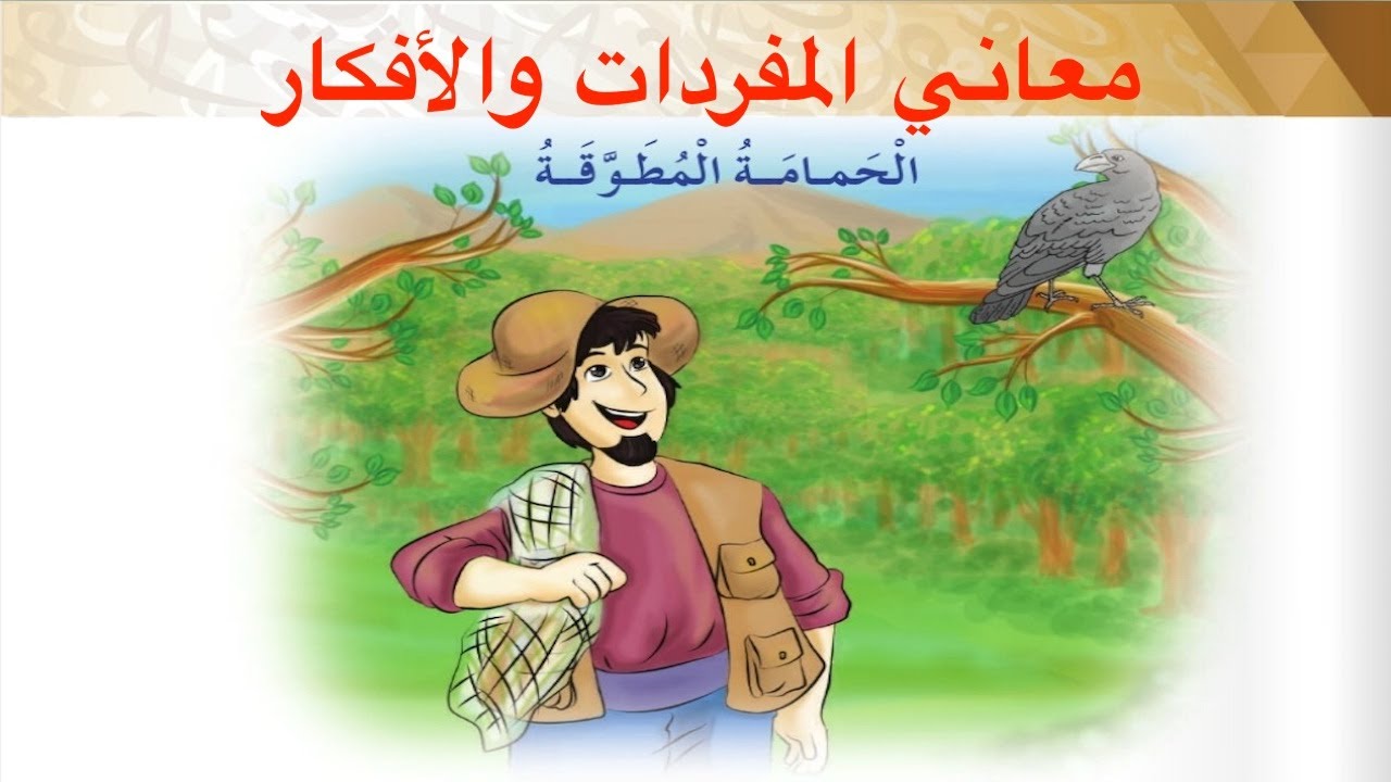 Mr&Mrs BaBaYoYo | معاني المفردات والأفكار | درس الحمامة المطوقة | لغة عربية | الصف الثالث | ف١