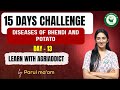 Diseases of Bhendi and Potato Day 13 of 15 Days Challenge with Parul Ma'am