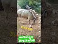 # చాలెంజింగ్ అంటే పిల్లలు ఇష్టపడాలి
