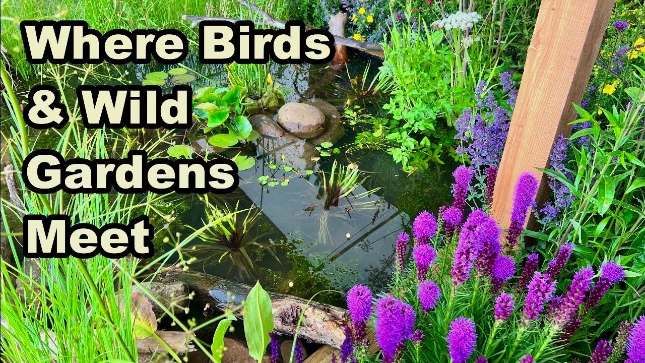 A Garden with a Wild Heart - Global Birdfair 2025
