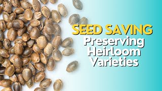 Seed Saving: Preserving Heirloom Varieties