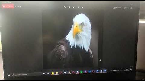 Bird recognition using Ultra96 V2