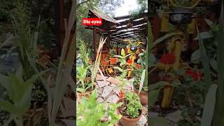 “Arnavutluk’un Gizli Cenneti: Mavi Göz 💙 ”