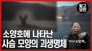 드넓은 소양호 한 복판에서 찍힌 뿔 달린 형태의 생명체, 그 정체는?