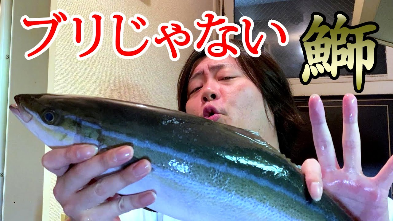鰤とつくけど鰤じゃない めちゃくちゃ脂の乗ったツムブリを捌く Youtube 鰤とつくけど鰤じゃない めちゃくちゃ脂の乗ったツムブリを捌く Youtube