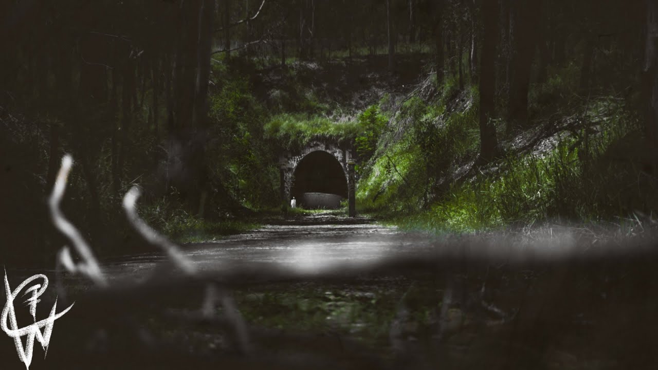 Queensland's MOST HAUNTED tunnel? Ernest Junction Railway Tunnel