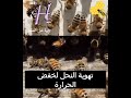 قناة النحال تربية النحل 