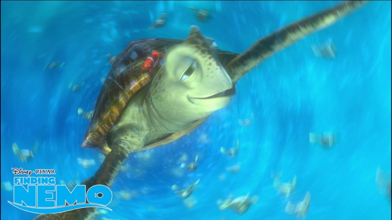 Turtle Cruising 🐢, Finding Nemo