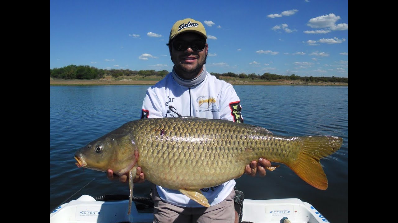 Ultimate carp on lure ! YouTube